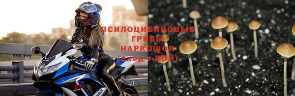 героин Алексин